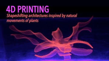 4D Printing: Shapeshifting Architectures