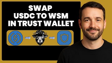 Swap USDC to WSM Token in Trust Wallet | Fast & Easy Crypto Exchange 🚀
