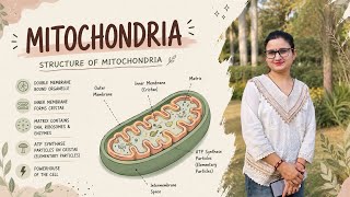 MITOCHONDRIA | Full NCERT Explanation