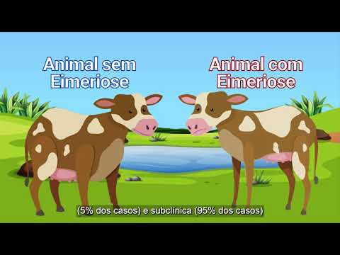 Vídeo: Viscose é um tecido multifuncional e popular. Histórico de aparência, propriedades, aplicação