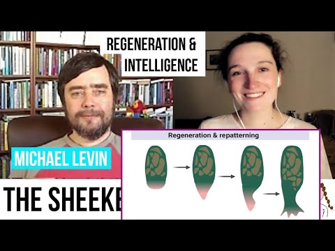 Regeneration, Intelligence in Life & Memory - Dr Michael Levin