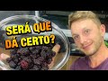 OLHA O QUE EU FIZ COM ESSAS AMORAS | Henrique Buttler