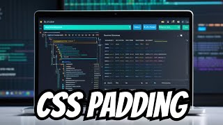 CSS Padding | HTML/CSS