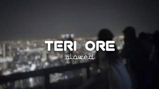 Teri Ore [Lo-Fi] | (slowed+reverb) | Amusic Tune