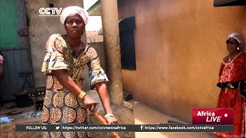 Guinea Tomato Paste: Transforming Fresh Produce Into Canned Goods