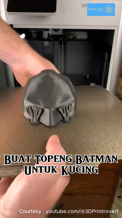 Seri Entertainment: Topeng Batman Untuk Kucing #kucinglucu #batman #cat #entertainment