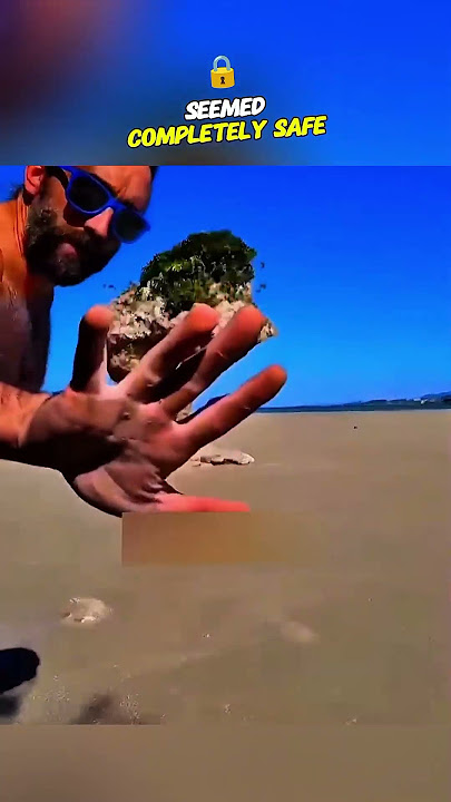 When Quicksand Turns Deadly #shortsvideo #viralvideo #wholesome