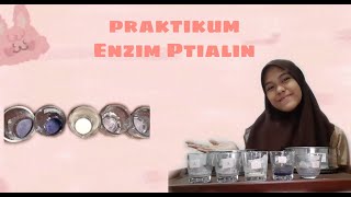 Praktikum Enzim Ptyalin ( Pengaruh Suhu Pada Aktivitas Enzim Ptialin)
