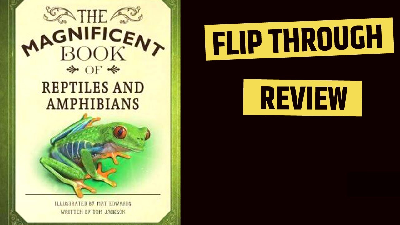 The Magnificent Book of Reptiles and Amphibians by Tom Jackson - YouTube