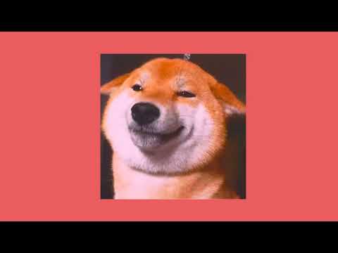 𝙘𝙚𝙡𝙤𝙨𝙤 - 𝙇𝙚𝙡𝙚 𝙋𝙤𝙣𝙨 (𝙨𝙥𝙚𝙚𝙙 𝙪𝙥)