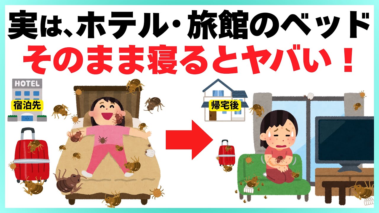 【旅行前に絶対見て!!】ホテルや旅館に潜んでいる虫を簡単に確認・駆除する方法