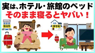 【旅行前に絶対見て!!】ホテルや旅館に潜んでいる虫を簡単に確認・駆除する方法