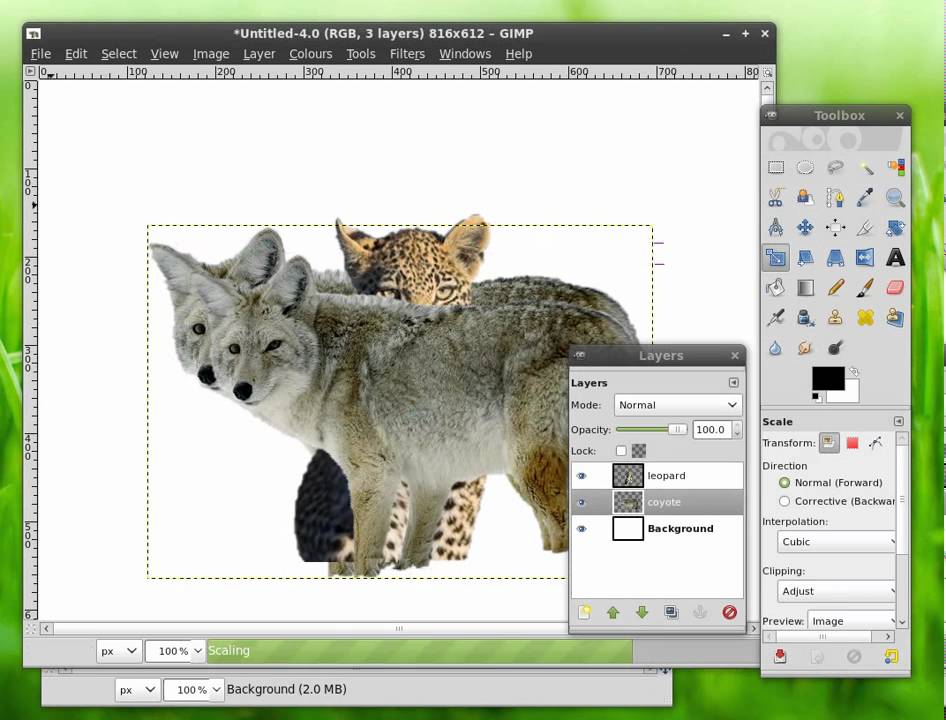 How to use the GIMP Scissors Select Tool YouTube