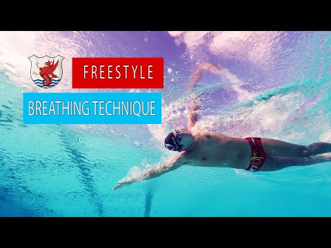 Freestyle Swim Technique - Breathing