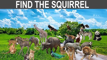 Find The Hidden Animal | Find The Different Emoji | Find The Number | Missing Circle | Multiple Game