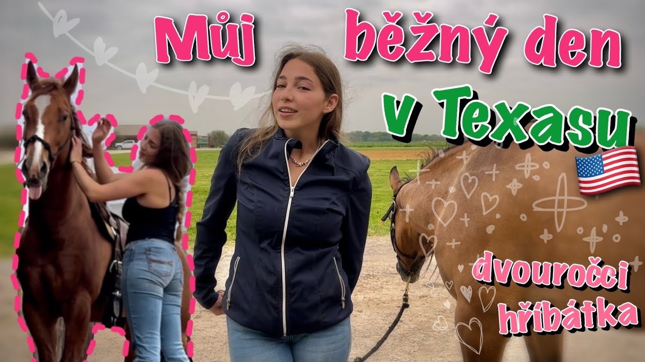 TEXAS #3 // Jaká je moje náplň práce?