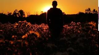 مشاهد للمونتاج رجل يمشي في الطبيعه HD Video Background | Man walking between flowers Nature