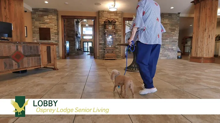 Osprey Lodge Assisted Living and Memory Care of Tavares Virtual Tour 30s