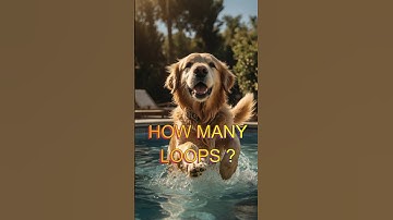 How many loops until you get it right? #038 #hiddenobject #loopfun #dogdays