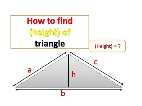 How to find the (height) of a triangle - YouTube