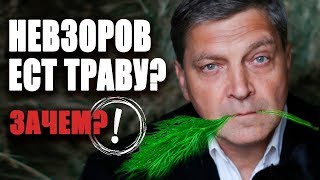 Зачем Александр Невзоров ест траву?