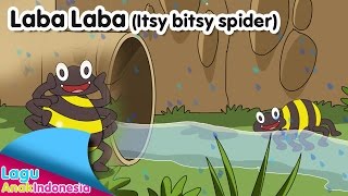 Laba laba | Lagu Anak Indonesia