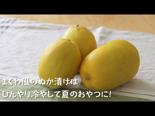 Youtube ぬか床のある暮らし Vol 34まくわ瓜のぬか漬けはひんやり冷やして夏のおやつに 常温なのに誰でも簡単に出来る椎木式ぬか漬け ぬか漬けコンシェルジュassociation兵庫県三田市 Youtube ぬか床のある暮らし Vol 34まくわ瓜のぬか漬けはひんやり冷やして夏のおやつに 常温なのに誰でも簡単に出来る椎木式ぬか漬け ぬか漬けコンシェルジュassociation兵庫県三田市