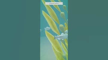 Cozy Seal-chan:make your sea Gameplay Casual Games #casualgames