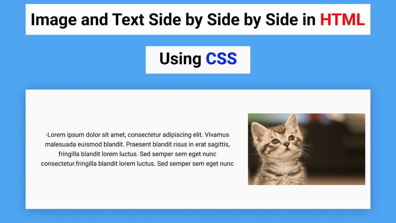 How to Align Image & Text Side by Side in HTML using CSS