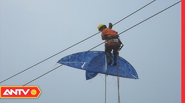 Thả diều gây mất an toàn hệ thống truyền tải điện  | An toàn sống | ANTV