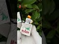 Collectible Smoked-Silver Lighter—Engraved, Numbered, Gift-Ready (Novelty)