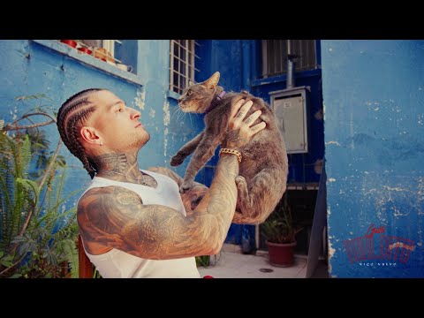 Niqo Nuevo - Gatito Maldito