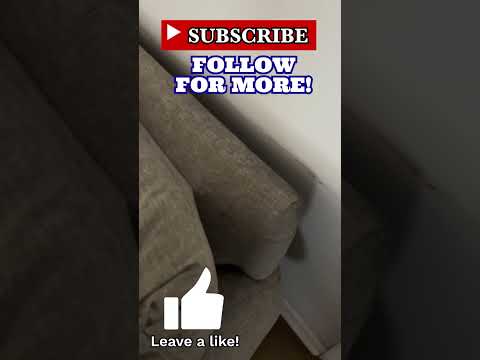 how to treat severe bed bug infestations
