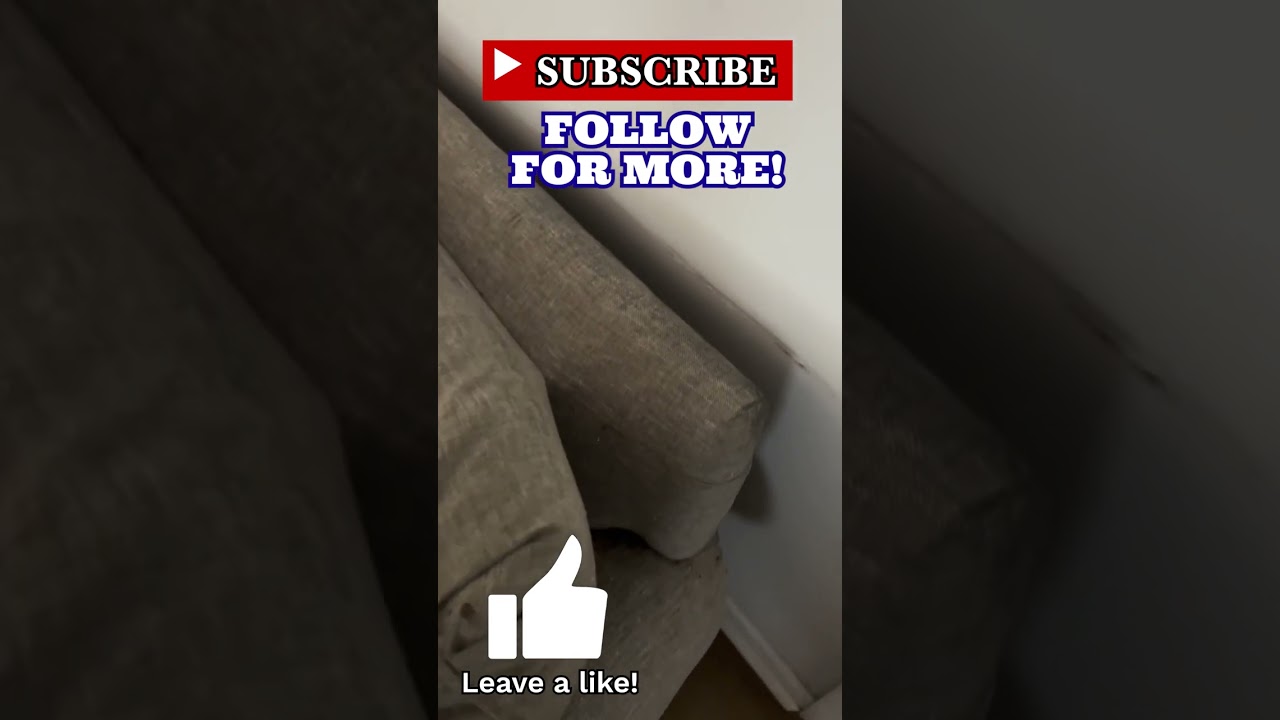 Клопы в диване и как от них избавиться 