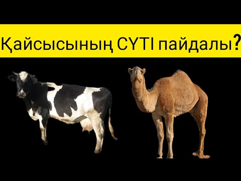 Титанға шабуыл порно World of Warcraft эротикалық косплейі