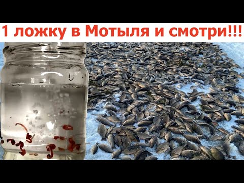 Я не мог поверить. Зимняя наживка для рыбалки. На мормышку .