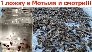 Я не мог поверить. Зимняя наживка для рыбалки. На мормышку .