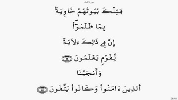 سورة النمل - ياسين الجزائري برواية ورش