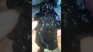 What Kind Of Sea Shell Is This? Ive Never Seen This Before