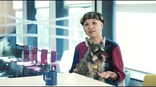 Life at Nexmo | Jobbio
