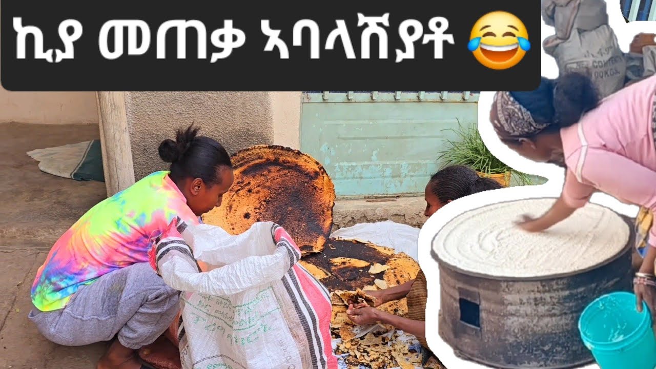 👉 ኪያ ኣባላሽያቶ 😡 ኣብ ዘይሞያካ ዘይምእታው 👍  24 February 2026