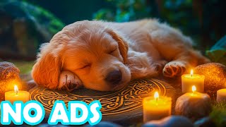 24/7 Calming Music for Dogs with Anxiety🐾Comfort your dogs when you're away #DogsHomeAlone screenshot 3