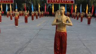 Kungfu performance at WuShu festival DengFeng China