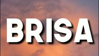 Zion & Lennox, Danny Ocean - Brisa (Letra/Lyrics)