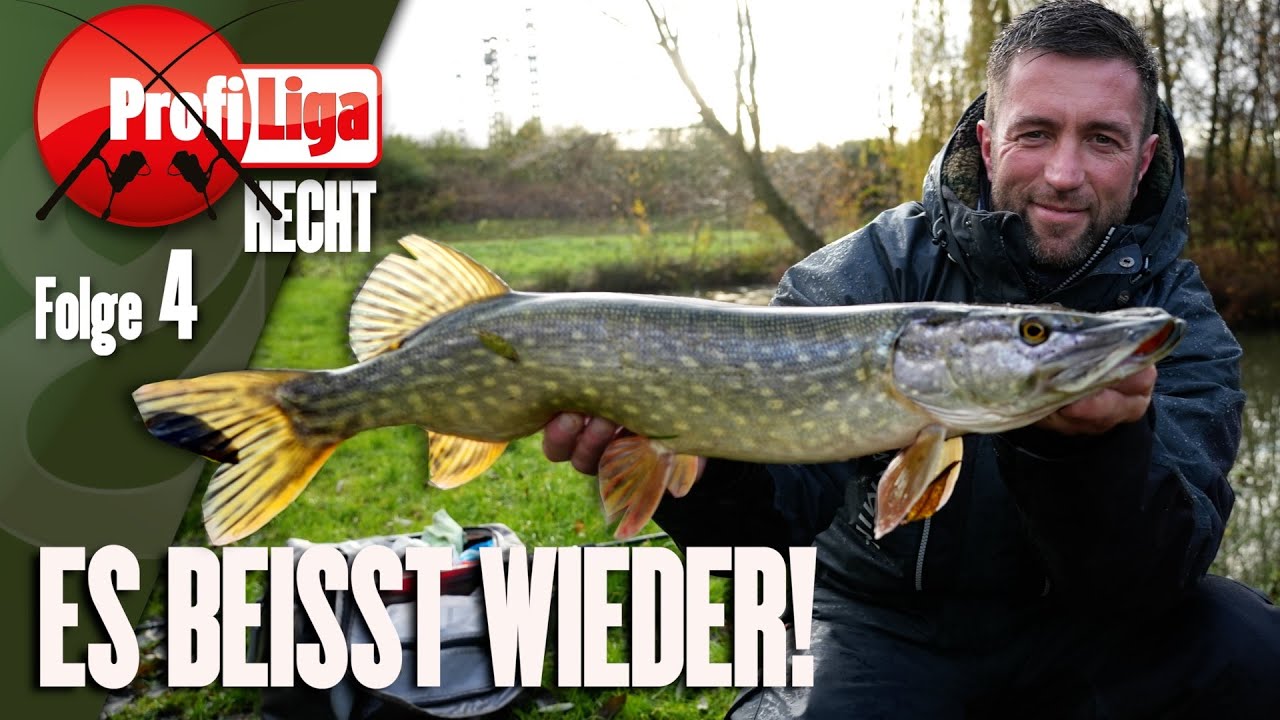 Die Hechte beißen wieder! Profi Liga Hecht, Folge 4