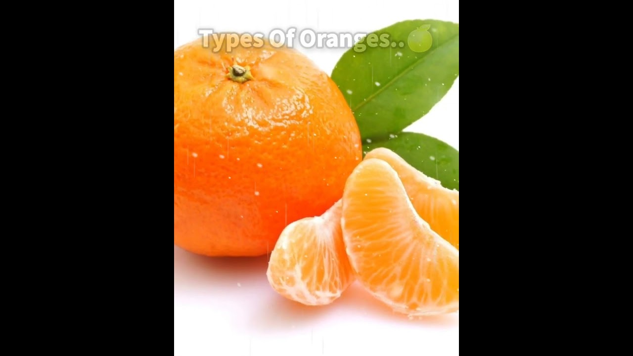 Types of Oranges 