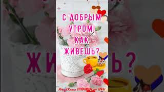 🌹Красивое Пожелание Доброго Утра! Открытки Доброе Утро! #shorts