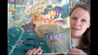 Nature Storytime #30  - The Dancing Turtle: A Folktale from Brazil by Pleasant DeSpain