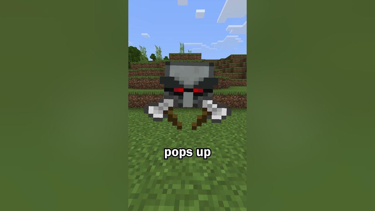 Custom Animation in Minecraft Bedrock - YouTube