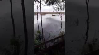 Inundación Provincia de Buenos Aires - CASALINS - Partido de PILA